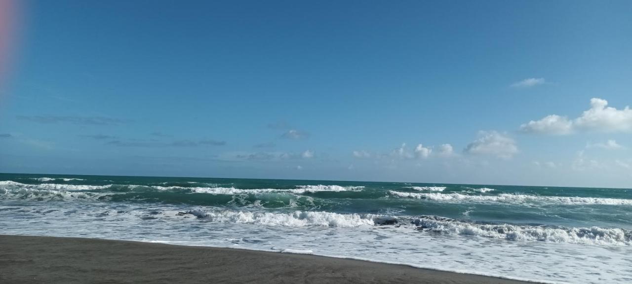 Opotiki - Waiotahe Drifts Beach Pod Exterior photo